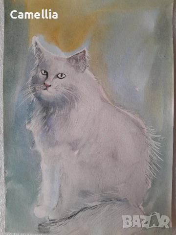 Бяла котка - акварел