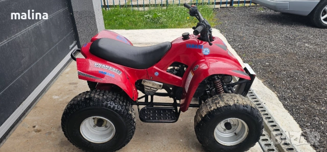 Атв 100кубика внос от Германия , снимка 5 - Мотоциклети и мототехника - 54273784