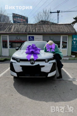 Голяма панделка за кола,пандела за автомобил,панделка подарък , снимка 4 - Други - 53794678