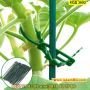 50 бр. Пластмасови връзки за растения за многократна употреба - КОД 3692