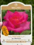 🌹РОЗА 🌹 VELASQUEZ® / Sexy PERFUMELLA® Meimirtylus 🌹, снимка 9