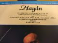 HAYDN, снимка 7