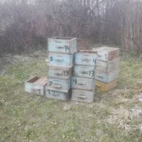 Продавам кошери Л-Р, снимка 2 - За пчели - 45296166