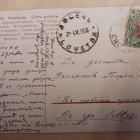 Стара цветна картичка 1906 г - лов , ловци , кучета , хралупа, снимка 3 - Филателия - 45695311