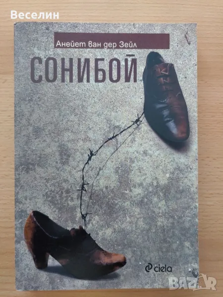 "Сонибой" - Анейет ван дер Зейл, снимка 1