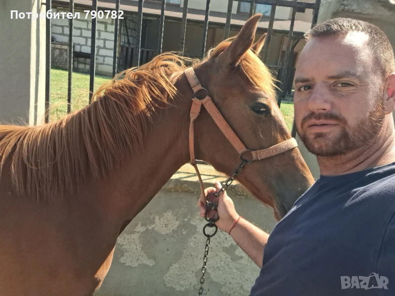 ресаче на 10 месеца, снимка 1