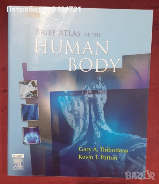 Brief Atlas of the Human Body, снимка 1