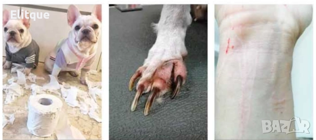 Ножици за нокти на домашен любимец + пила ., снимка 3 - Други стоки за дома - 52905932