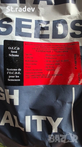 люцерна семе. семена люцерна , снимка 2 - Сортови семена и луковици - 53755467