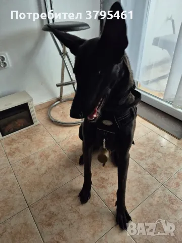 Контейнер за кучешки торбички, снимка 1