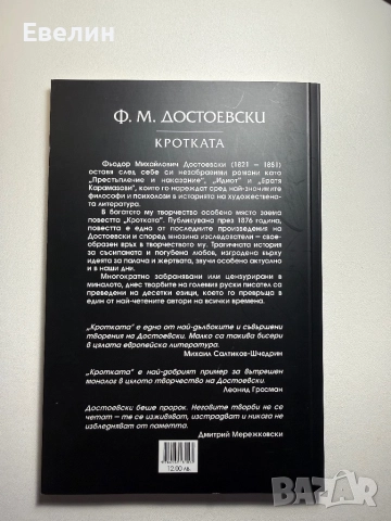 “Кротката” Достоевски, снимка 2 - Художествена литература - 52875574