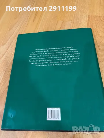 Художествен албум/алманах на Микеланджело, снимка 7 - Художествена литература - 49983069