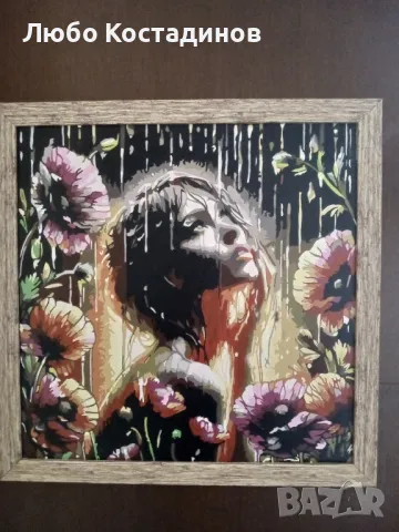 Картини по номера, снимка 7 - Картини - 48257982