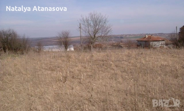 Парцел за продажба в Сърнец, област Добрич, снимка 5 - Парцели - 53656540