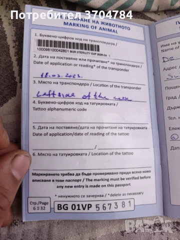 Продавам немска овчарка , снимка 18 - Немска овчарка - 53245024