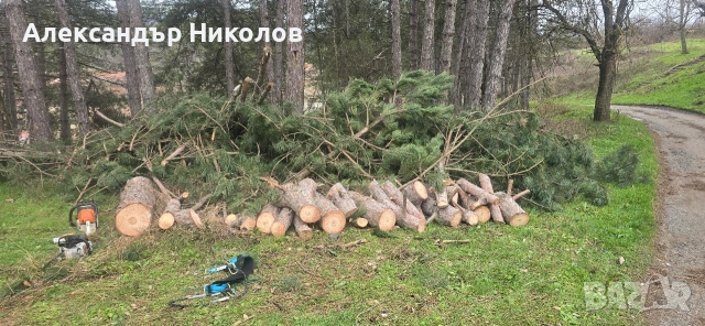 озеленяване рязане на високи дървета чистене на градини оформяне на жива плет , снимка 3 - Строителни работници - 53126101