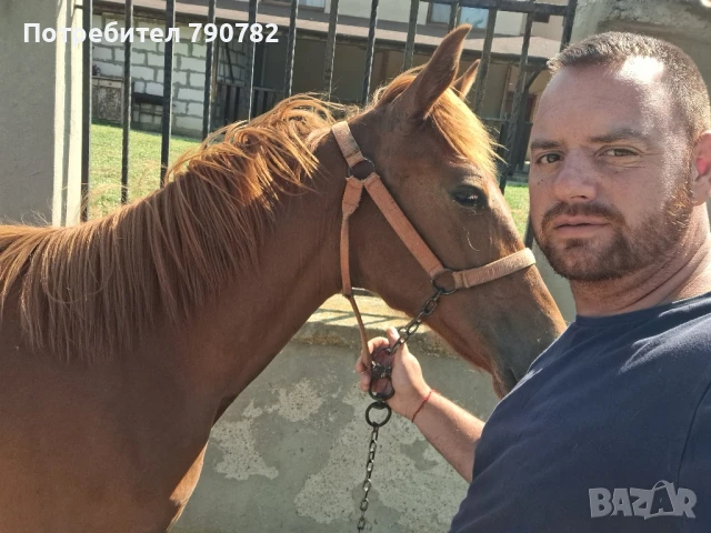 ресаче на 10 месеца, снимка 1