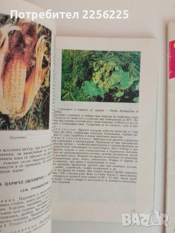 ЛОТ Здраве от аптеката, снимка 2 - Специализирана литература - 51100347