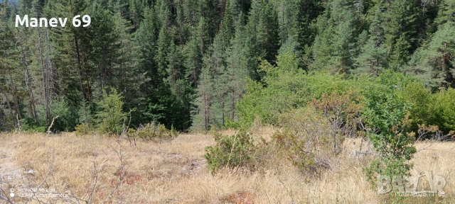Продавам парцел в Родопите  с.Габрица.🌲, снимка 4 - Парцели - 50738610