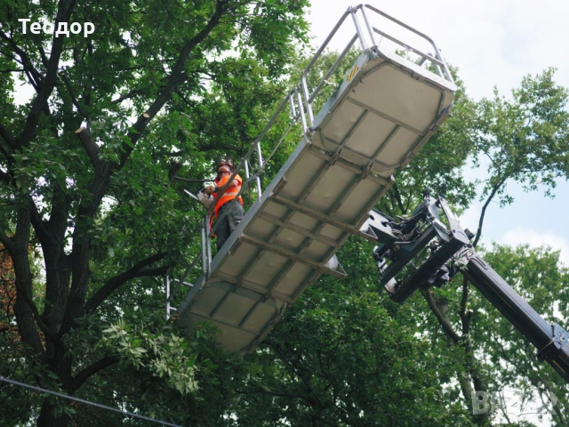 Почистване и мулчиране на труднодостъпни терени – Варна, снимка 9 - Други услуги - 53670052
