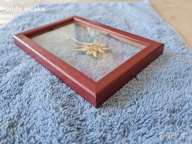 Еделвайс в рамка, снимка 8 - Други ценни предмети - 54091034