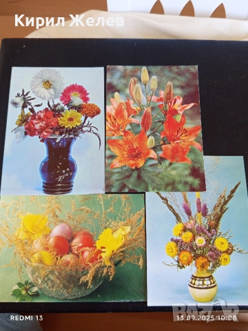 Четири пощенски картички тема ЦВЕТЯ редки от соца за КОЛЕКЦИЯ ДЕКОРАЦИЯ 50862