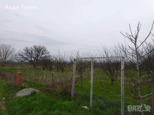 Дивдядово -Парцел с малка постройка - земеделска земя, снимка 11 - Парцели - 53995661