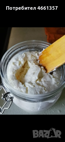 Кефирна гъба, снимка 3 - Други - 52546536