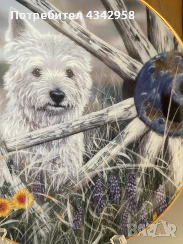 Колекционерска чиния от серия «Westies », снимка 3 - Антикварни и старинни предмети - 50811937