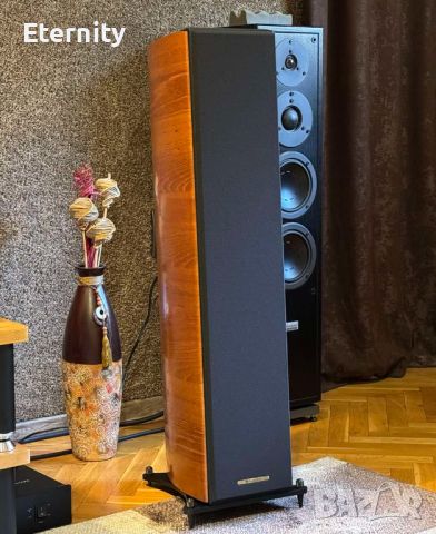 Sonus Faber Concerto DOMUS, снимка 13 - Тонколони - 45976477