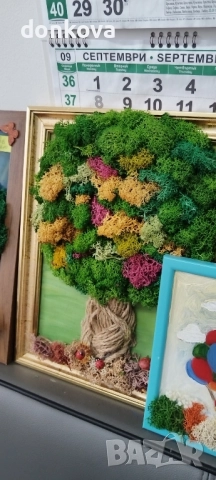 декорации ръчно изработени от жив скандинавски мъх и сапунени рози., снимка 16 - Декорация за дома - 52206004