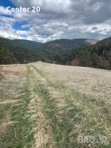 Продава ПАРЦЕЛ вилна зона м. Дикчан, снимка 9 - Парцели - 50097186