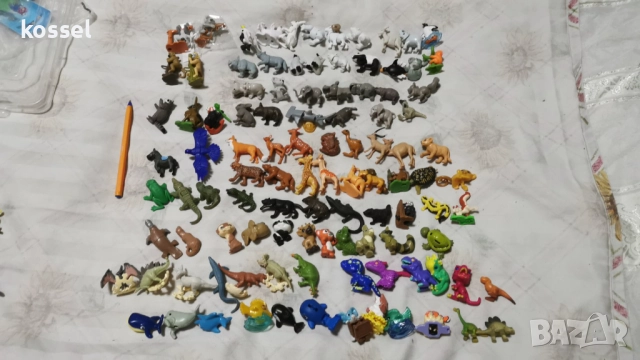 Киндер-животни-Африка и Арктика, тийн идоли