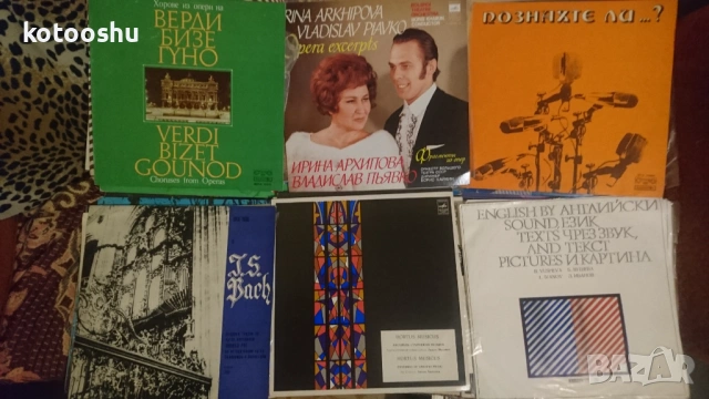 Грамофонни плочи, различни, снимка 6 - Грамофонни плочи - 53910883