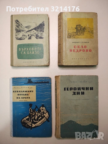 Невидимият остава на брега. Книга 2 - Иван Кръстев (1963), снимка 1 - Българска литература - 53511238