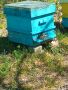 Кошери с пчели, снимка 2