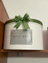 Сватбени кутии за пари, поздравителни картички и дарения, снимка 3