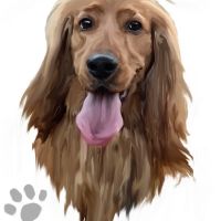 Дигитални портрети на домашни любимци, снимка 1 - За кучета - 45545698