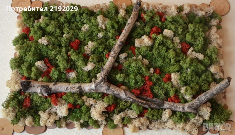 ПАНО СЪС СКАНДИНАВСКИ МЪХ, снимка 1