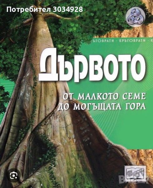  Търся книгата Дървото - от малкото семе до могъщата гора, снимка 1