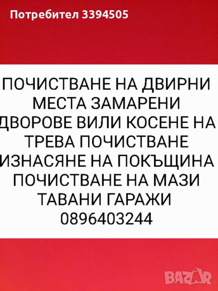 Почистване на дворни места почистване на мазета тавани замръзване против гълъби, снимка 1