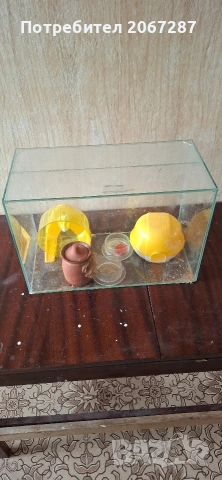 аквариум за хамстер