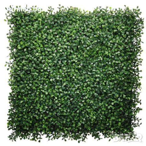 Пано 50х50см изкуствена зелена декорация Boxwood CCGA145, снимка 1 - Пана - 45617724