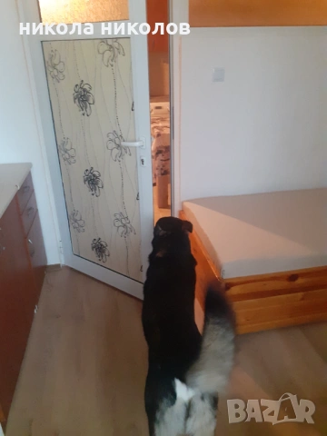 гарсониера 38 кв, снимка 7 - Апартаменти - 54068620