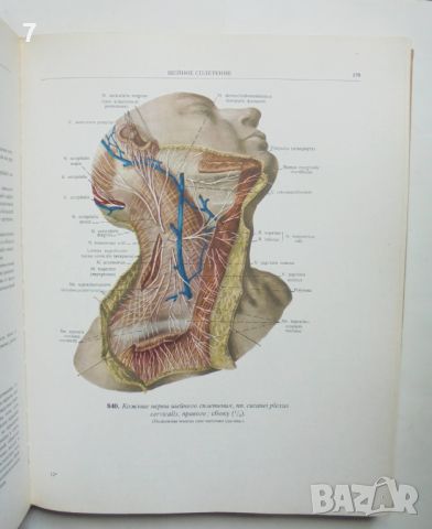 Книга Атлас анатомии человека. Том 1, 3 Р. Д. Синельников 1978 г. Анатомия на човека, снимка 6 - Специализирана литература - 46018644