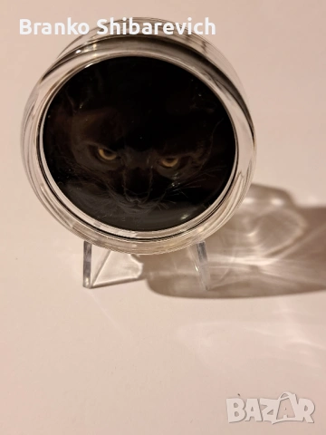 Уникална сребърна монета от Палау от серията " Hunters by night-Ocelot", 888 бр. за цял свят.