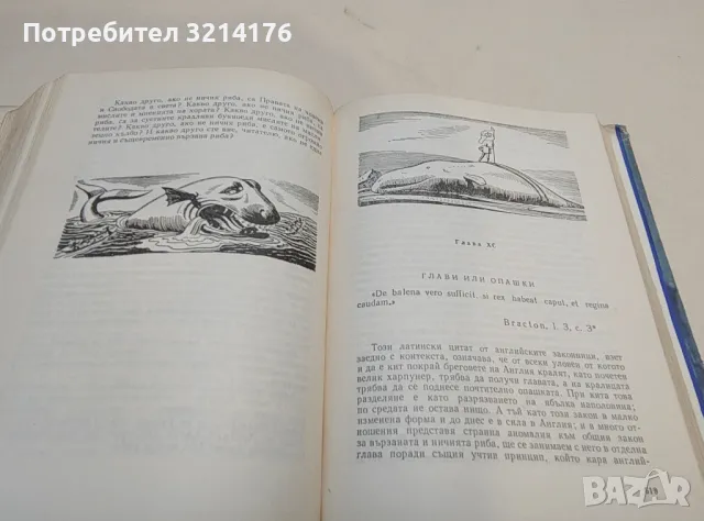 Моби Дик - Херман Мелвил (1962, богато илюстровано издание), снимка 3 - Художествена литература - 49482862