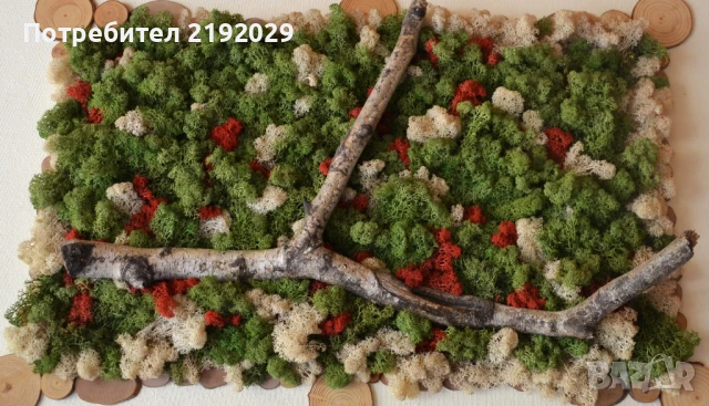 ПАНО СЪС СКАНДИНАВСКИ МЪХ