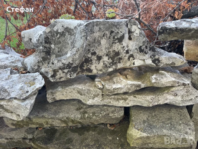 Камъни за алпинеум, снимка 8 - Градински мебели, декорация  - 51324424