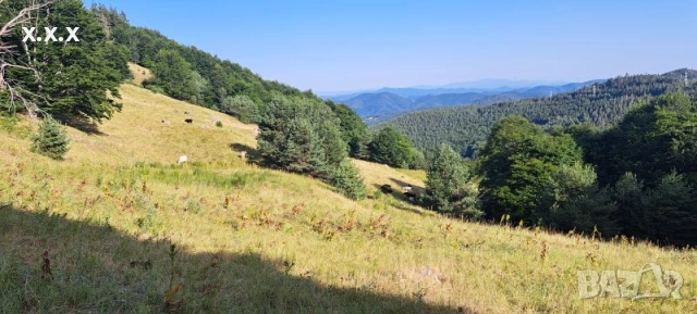 Продавам Земеделска Земя В Село Гела Обл.Смолян